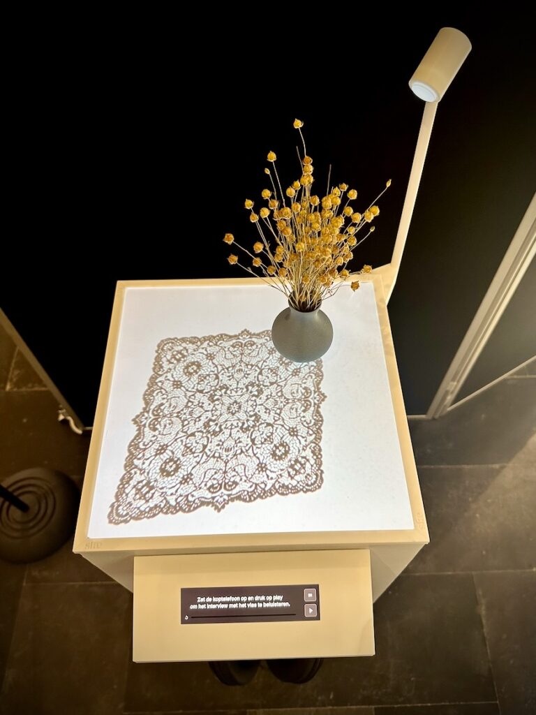 Vessel & Void: Flax dreams of being Lace